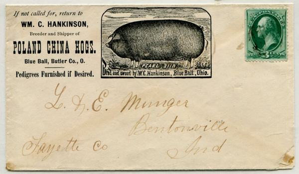 U.S. #147 on Hog Farm Advertising Cover