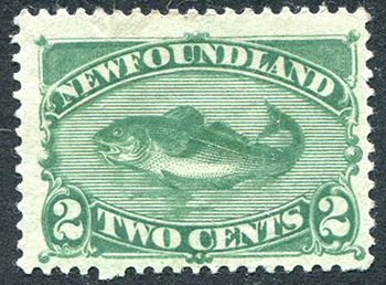 Newfoundland #46 Mint