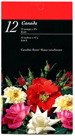 Canada #BK245 Roses