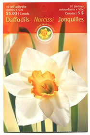 Canada #BK308 White Daffodil