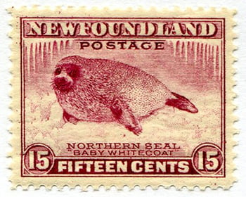 Newfoundland #195 MNH