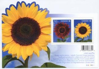 Canada #2440 Sunflower