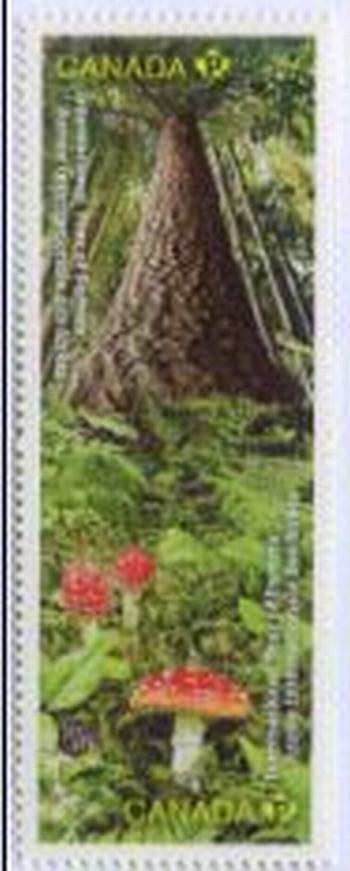 Canada #2462-63 International Year of Forests
