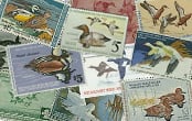 U.S. Duck Stamps