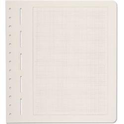 Lighthouse Primus A - blank pages w/light gray Background Grid 304004