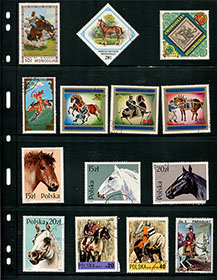 Horse Topicals Collection on Stock Pages