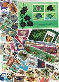 Sealife 100 all-different