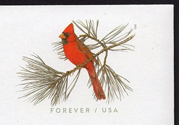 U.S. #U702 Red Cardinal Postal Stationery