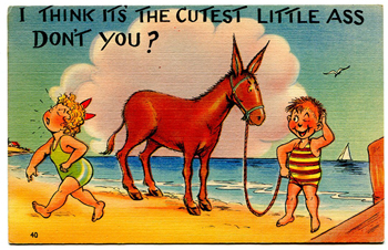 Cutest Little Ass Vintage Postcard