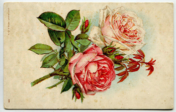 Floral Vintage Postcard