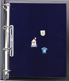 Enamel Pin Display Pages (1 PK) - Display and Trade Your Disney Collectible  Pins in Any 3-Ring Binder - Pages Lay Flat with Pinbacks and NO Sagging!