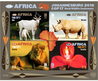 UN New York #1145 World Wildlife Conference Eye on Africa New York