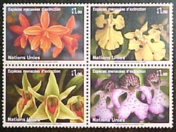 UN Geneva #439a  Endangered Species MNH