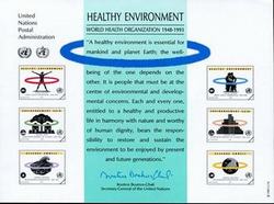 UN Healthy Environment