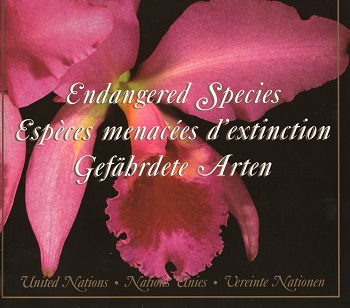 U.N.  Endangered Species Album 2005