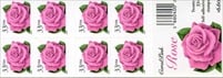 U.S. #3052Ef Pink Rose Booklet of 20