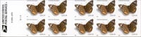 U.S. #4001b Buckeye Butterfly Booklet of 10