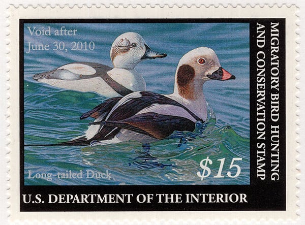 U.S. #RW76 Long-Tailed Duck