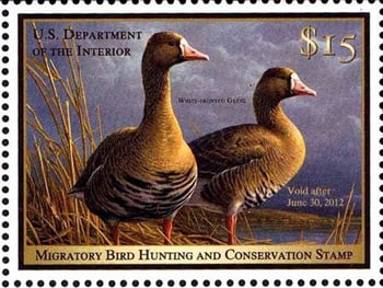 U.S. #RW78 White-Fronted Geese Stamp