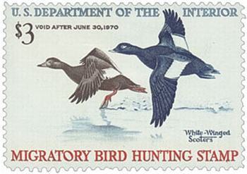 U.S. #RW36 White-Winged Scoters MNH