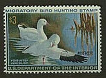 U.S. #RW37 Ross's Geese MNH