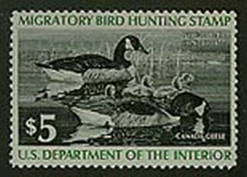 U.S. #RW43 Canada Geese MNH