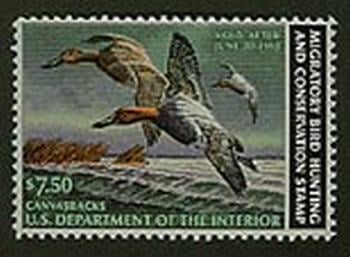 U.S. #RW49 Canvasbacks MNH