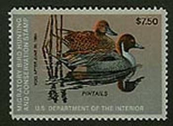 U.S. #RW50 Pintails MNH