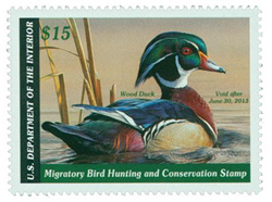 U.S. #RW79 Wood Duck Stamp MNH