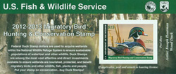 U.S. #RW79A Wood Duck Souvenir Sheet