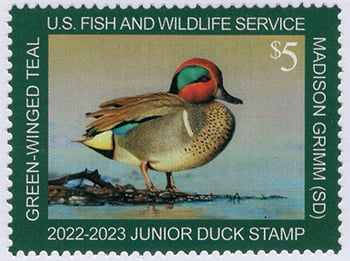 U.S. #JDS30 Junior Duck Stamp 2022 MNH