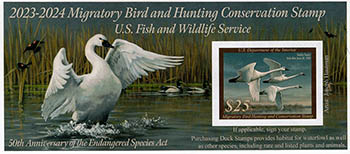 U.S. #RW90A Tundra Swans 2023 Souvenir Sheet MNH