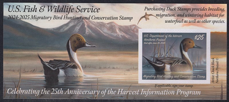 U.S. #RW91A Northern Pintail 2024 Duck Stamp MNH Pane of One