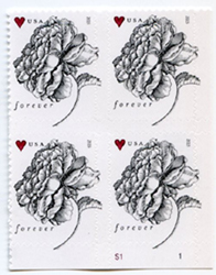 U.S. #4959 Vintage Rose Wedding Stamp, PNB of 4
