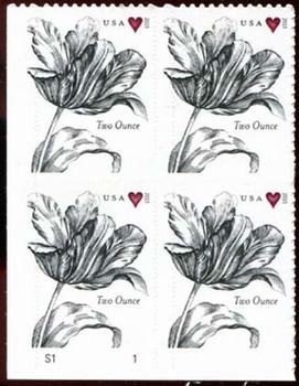U.S. #5002 Vintage Tulip PNB of 4