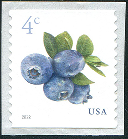 U.S. #5653 4c Blueberries Coil