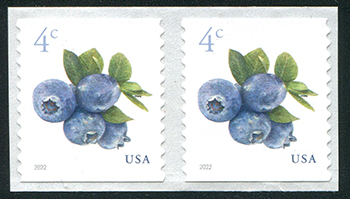 U.S. #5653 4c Blueberries Coil Pair