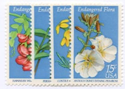 U.S. #1783-86 Endangered Flora, 4 Singles MNH