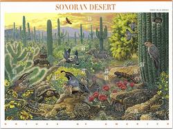 U.S.  #3293 Nature of America - Sonoran Desert, Pane of 10