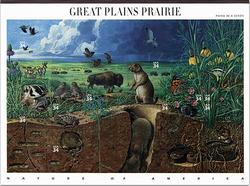 U.S.  #3506 Nature of America - Great Plains Prairie, Pane of 10