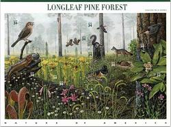 U.S.  #3611 Nature of America - Pine Forest, Pane of 10