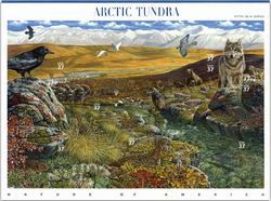 U.S.  #3802 Nature of America - Arctic Tundra Pane of 10