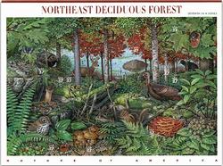 U.S.  #3899 Nature of America - Northeast Deciduous Forest Pane of 10