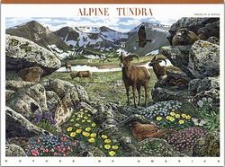 U.S.  #4198 Nature of America - Alpine Tundra, Pane of 10