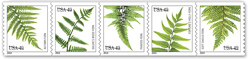 U.S. #4852a Ferns Coil 49c (2014) Strip of 5