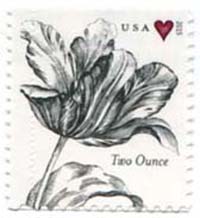 U.S. #5002 Vintage Tulip, 2-ounce