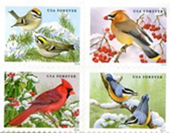 U.S. #5129a Songbirds in Snow, Block of 4