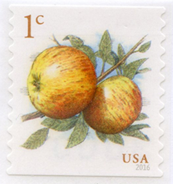 U.S. #5037 Newtown Pippin Apples