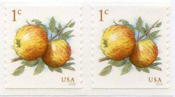 U.S. #5037 Newtown Pippin Apples Coil Pair
