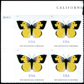 U.S. #5346 California Dogface Butterfly PNB of 4